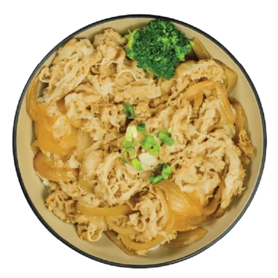 Best Sushi Saskatoon - Gyudon