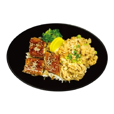 Saskatoon Best Sushi - Gyudon & Unagi